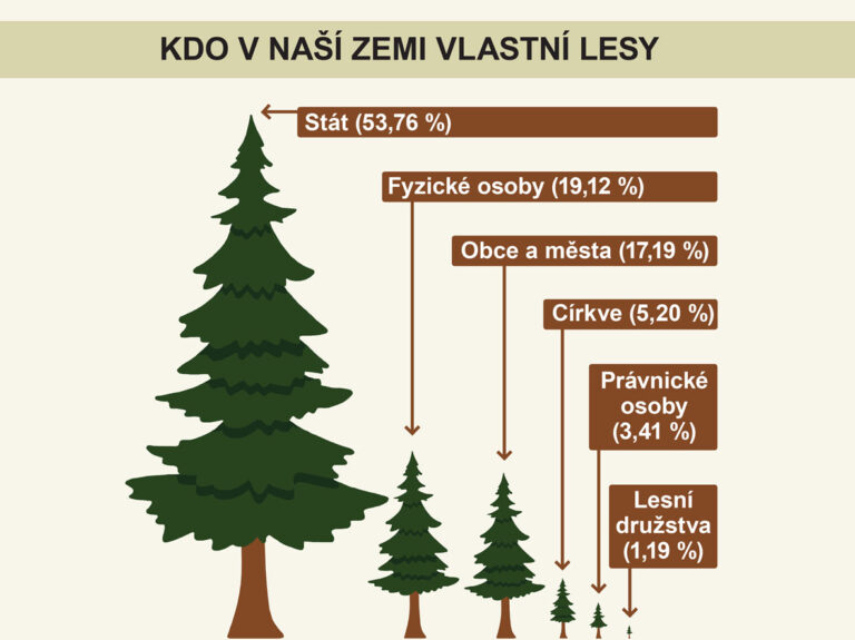 Vlastnictví lesů v ČR