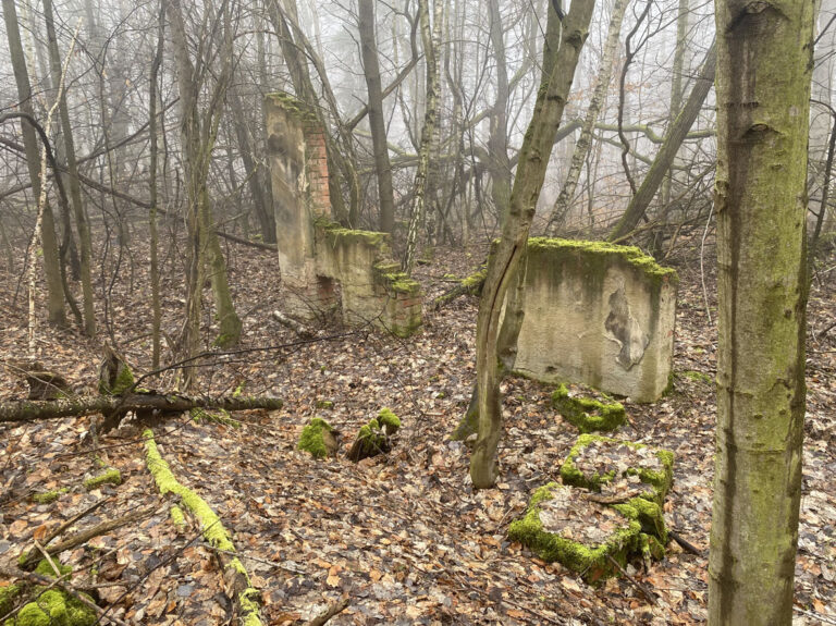 Detektory kovů
