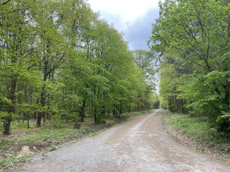 Tuchoměřický les