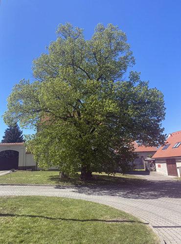 Zastávka 14